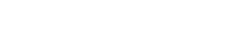Chichi Fening Foundation Logo